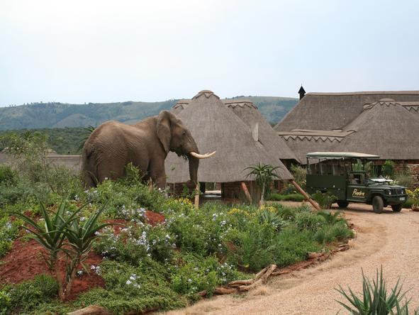 Pumba Water Lodge - Wildlife 